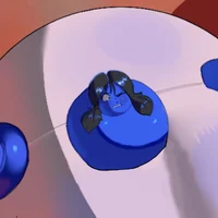 Blueberry Videl