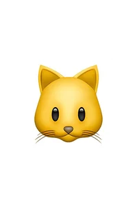 Kitty face emoji