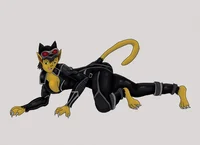 Catwoman Feline TF