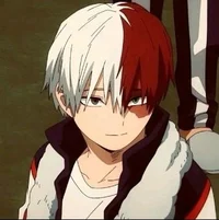 Shoto Todoroki