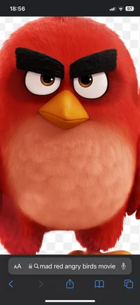 Red angry birds 