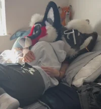 Your furry roommates