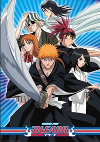 Bleach