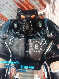 Fo4 Ency paladin dan