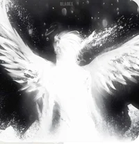 Konig - Angel user