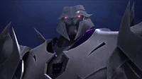 Megatron tfp