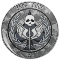 TF141 With Other Mem