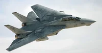 F-14 Super Tomcat 