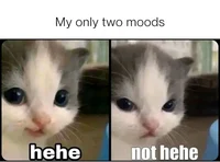 Testing