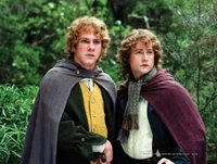 merry and pippin 