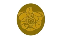 - 07 -