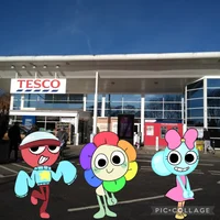 44-Toons at Tesco