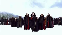 volturi kings