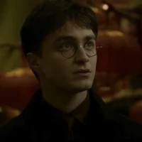 Harry J Potter