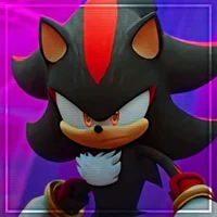 Shadow T Hedgehog 