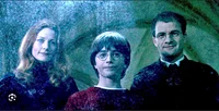 Potter Family
