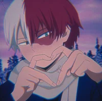 Shoto todoroki 