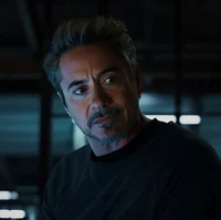 Tony Stark 