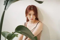 Han so hee 
