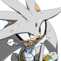 Silver The Hedgehog 