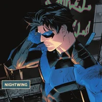 DC- Nightwing