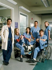 Greys Anatomy 