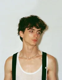 Timothée Chalamet 