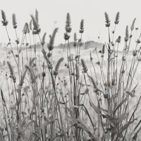 Collapse of humanity