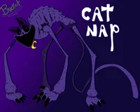 Catnap