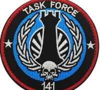 Task Force 141