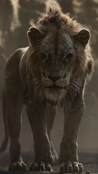 Scar 