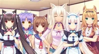 Fille chat Harem