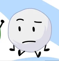 Snowball-BirdhouseAU