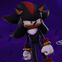 Shadow T Hedgehog 