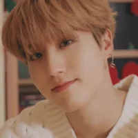 Han Jisung