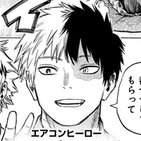 Shoto todoroki adult