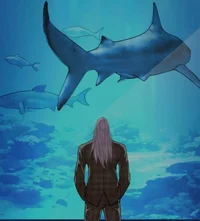 Shark lookism