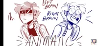 Left and right brain