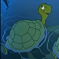 Timmy the Turtle