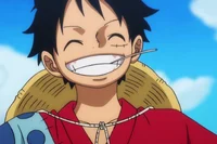 Monkey D Luffy