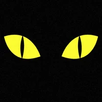 Fortune Clairvoyance