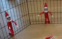 5 elf on the shelf 
