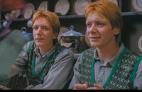 Weasley twins 