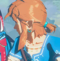 Link- BotW
