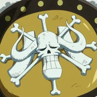 Pirates beasts 