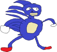 Sanic