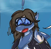 Shark transformation