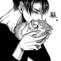 Levi Ackerman 