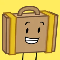 Suitcase II