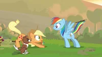 Dash and Appledog